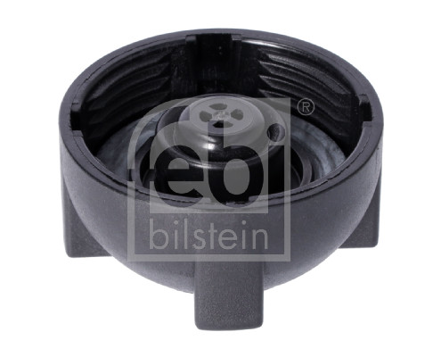 Buson vas expansiune FEBI BILSTEIN 02269