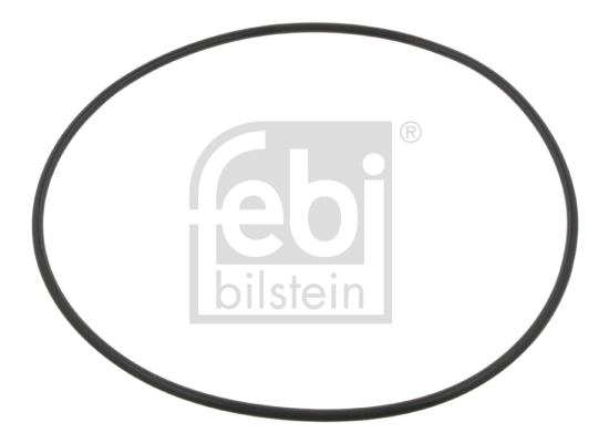 Inel de etansare butuc roata SCANIA R I R470  diesel 470 cai FEBI BILSTEIN 09923