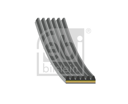Curea transmisie cu caneluri FEBI BILSTEIN 185005