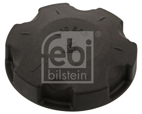 Buson vas expansiune FEBI BILSTEIN 46221
