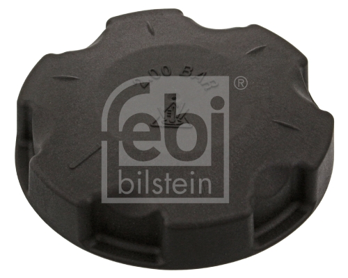 Buson vas expansiune FEBI BILSTEIN 46222