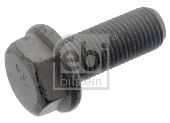 Surub etrier VW TOURAN (1T1, 1T2) 1.9 TDI  diesel 105 cai FEBI BILSTEIN 48810