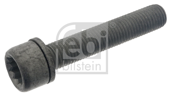 Surub etrier VW TOURAN (1T1, 1T2) 1.9 TDI  diesel 105 cai FEBI BILSTEIN 48817