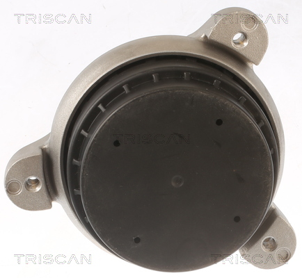 Cap de bara TRISCAN 850011116