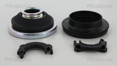 Rulment sarcina suport arc TRISCAN 850024917