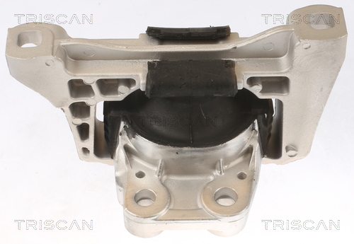 Suport motor TRISCAN 850510100