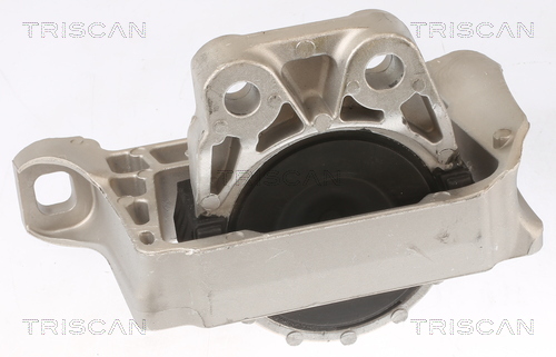 Suport motor TRISCAN 850510100