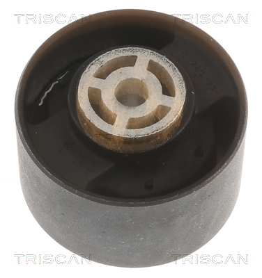 Suport motor TRISCAN 850510113