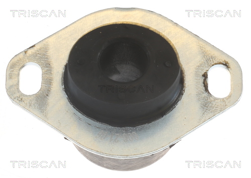 Suport motor TRISCAN 850510122