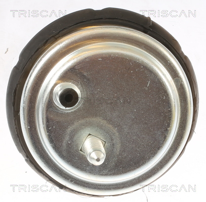 Suport motor TRISCAN 850511102