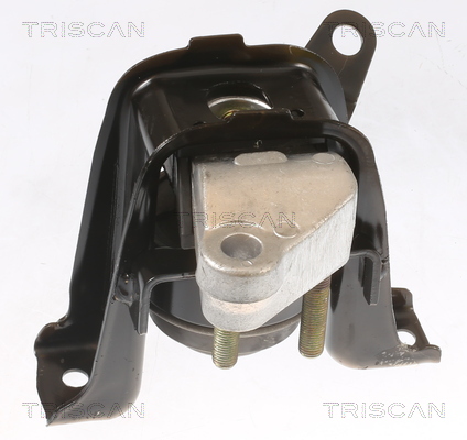 Suport motor TRISCAN 850513100
