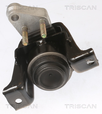 Suport motor TRISCAN 850513100