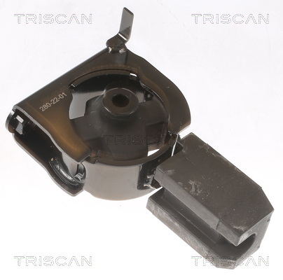 Suport motor TRISCAN 850513102