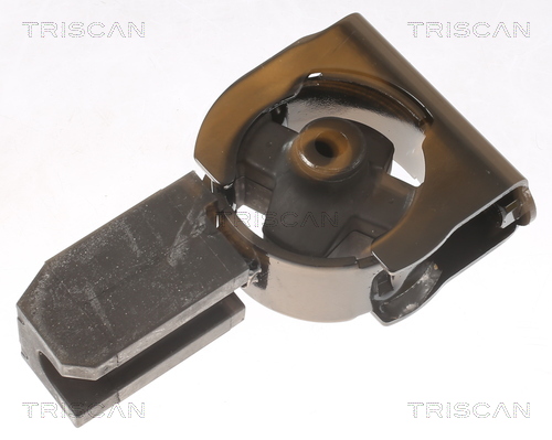 Suport motor TRISCAN 850513102