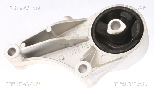 Suport motor TRISCAN 850524101