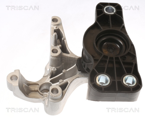 Suport motor TRISCAN 850525121