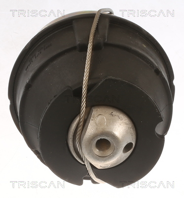 Suport motor TRISCAN 850527103