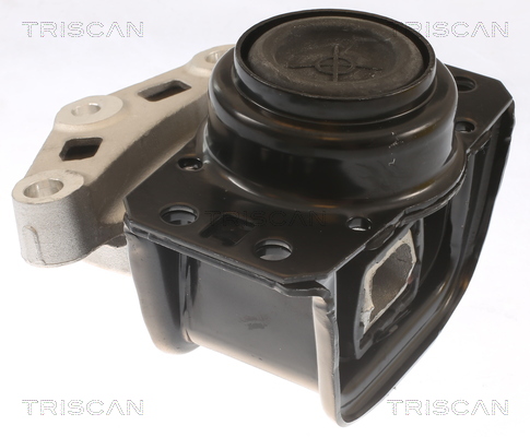 Suport motor TRISCAN 850528108