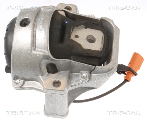 Suport motor TRISCAN 850529133