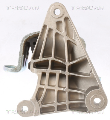 Suport motor TRISCAN 850529165