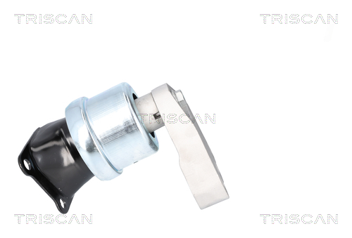 Suport motor TRISCAN 850529186