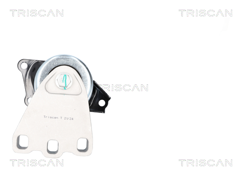 Suport motor TRISCAN 850529186