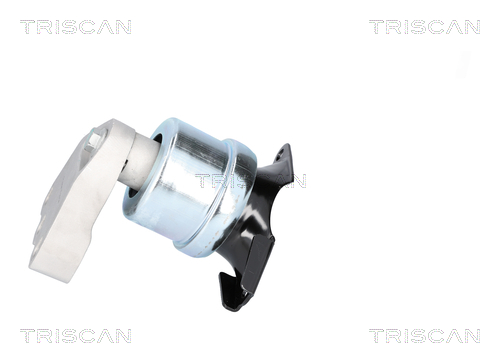 Suport motor TRISCAN 850529186