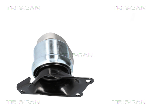 Suport motor TRISCAN 850529186