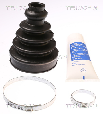 Ansamblu burduf articulatie planetara TRISCAN 8540 10905
