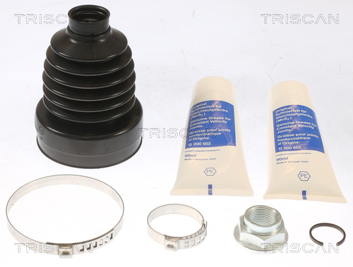 Ansamblu burduf articulatie planetara TRISCAN 8540 16932