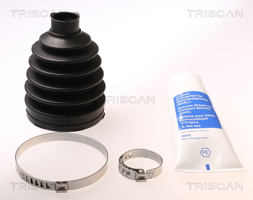 Ansamblu burduf articulatie planetara TRISCAN 8540 25820