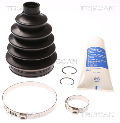 Ansamblu burduf articulatie planetara TRISCAN 8540 25822