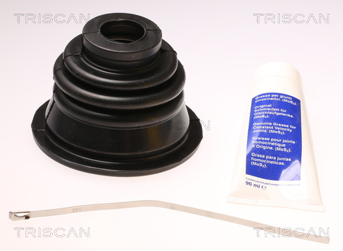 Ansamblu burduf articulatie planetara TRISCAN 8540 25902