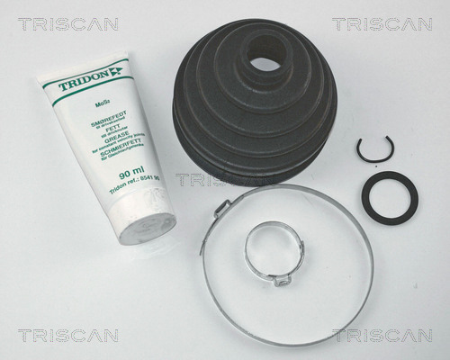 Ansamblu burduf articulatie planetara TRISCAN 8540 29810