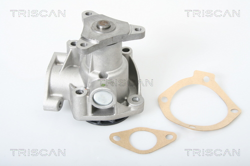 Pompa de apa TRISCAN 8600 10003