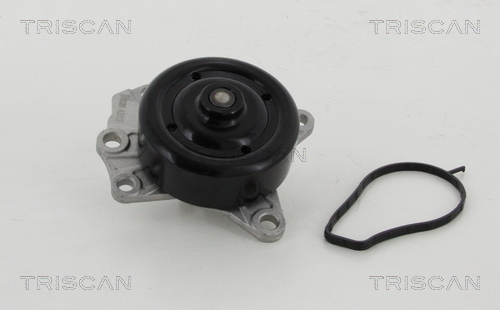 Pompa de apa TRISCAN 8600 10022