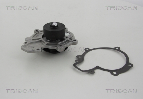 Pompa de apa TRISCAN 8600 10030
