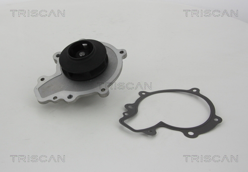 Pompa de apa TRISCAN 860010030