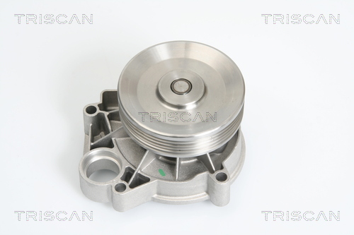 Pompa de apa TRISCAN 8600 11009