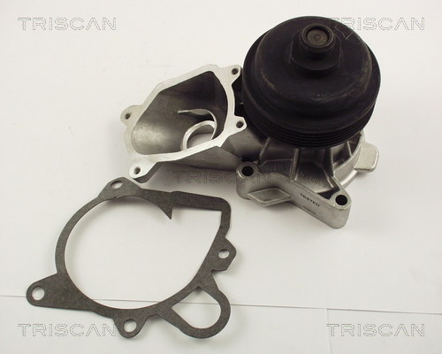 Pompa de apa TRISCAN 8600 11011