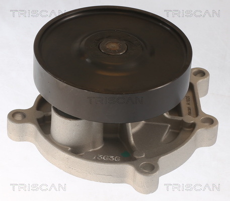 Pompa de apa TRISCAN 8600 11062