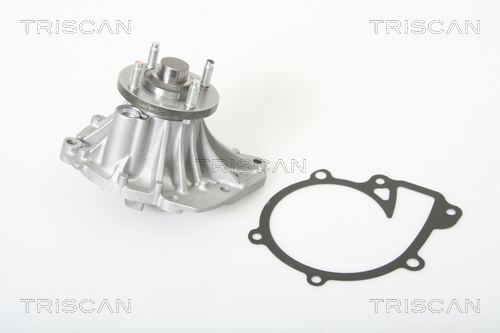 Pompa de apa TRISCAN 8600 13031