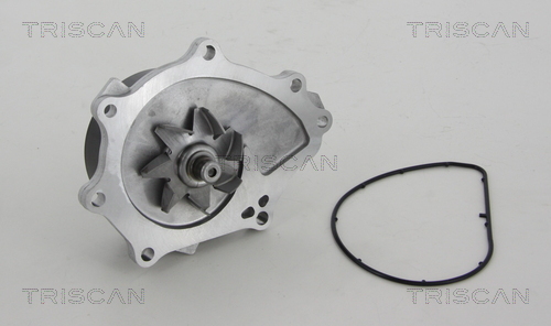 Pompa de apa TRISCAN 8600 13037