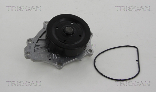 Pompa de apa TRISCAN 860013037