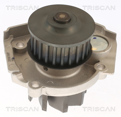 Pompa de apa TRISCAN 8600 15033