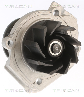 Pompa de apa TRISCAN 860015033