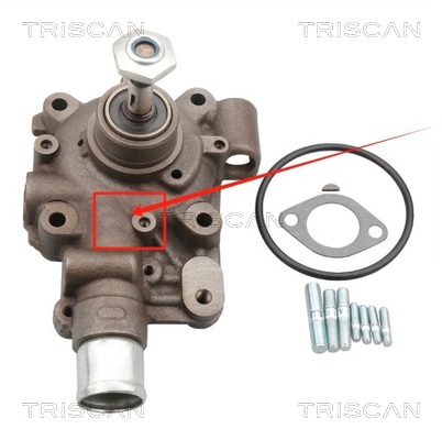 Pompa de apa TRISCAN 8600 15035