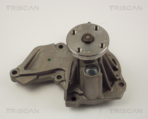 Pompa de apa TRISCAN 8600 16006