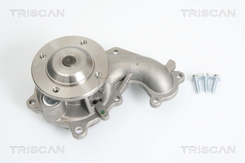 Pompa de apa TRISCAN 8600 16010