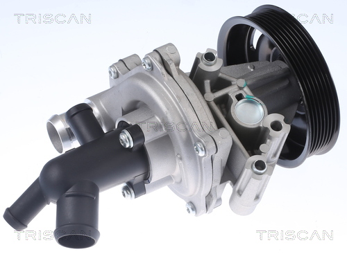 Pompa de apa TRISCAN 8600 16071